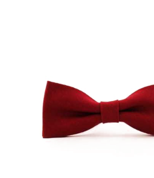 Číšnický motýlek